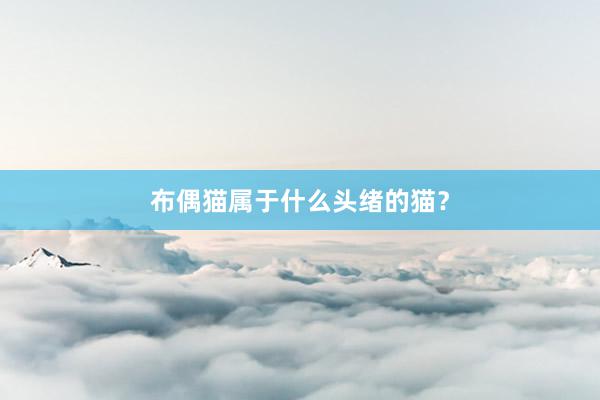 布偶猫属于什么头绪的猫？