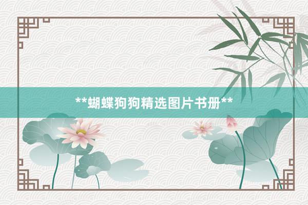 **蝴蝶狗狗精选图片书册**