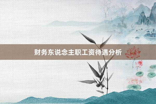 财务东说念主职工资待遇分析